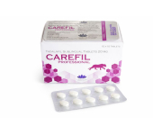 Cialis Professional / Generic Tadalafil